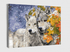 Картина по номерам на холсте и подрамнике 40х50 см