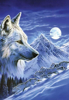 Алмазная мозаика на подрамнике 40х50