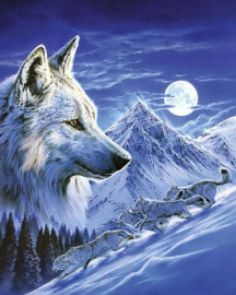 Алмазная мозаика на подрамнике 40х50 - Алмазная мозаика на подрамнике 40х50