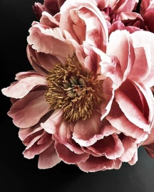 Картина по номерам на холсте и подрамнике 40х50 см - Картина по номерам на холсте и подрамнике 40х50 см