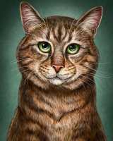 Алмазная мозаика круглыми стразами 40x50: Алмазная мозаика на подрамнике 40х50