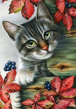 Картина по номерам на холсте и подрамнике 40х50 см 