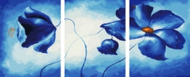 Триптихи 40x50 - KX-0112 - Триптихи 40x50 - KX-0112