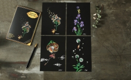 Скретч-картины - Flower - Скретч-картины - Flower