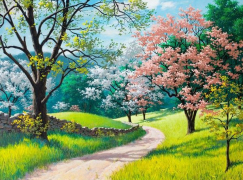 Картина по номерам на холсте и подрамнике 40х50 см0