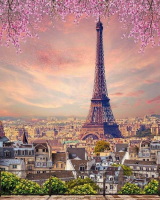 : Картина по номерам на холсте и подрамнике 40х50 см