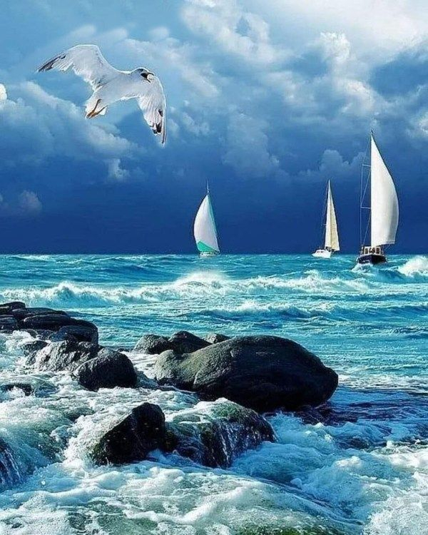 Капельки радости! опубликовал пост от 6 марта 2018 в 18:31 Фотострана Пост № 163