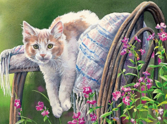 Ленивый кот