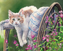 Ленивый кот - Ленивый кот