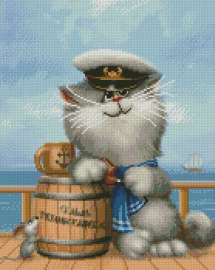 Котик капитан (худ. Долотов А.) - Котик капитан (худ. Долотов А.)