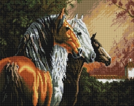 Алмазные мозаики 40x50 - GF349 - Алмазные мозаики 40x50 - GF349