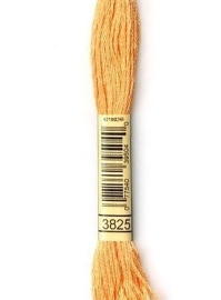 3825 - 3825