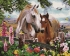 Алмазные мозаики 40x50 - GF1446 - Алмазные мозаики 40x50 - GF1446