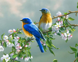 Картина по номерам на холсте и подрамнике 40х50 см - Картина по номерам на холсте и подрамнике 40х50 см