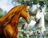 Алмазная мозаика круглыми стразами 40x50: Алмазная мозаика на подрамнике 40х50