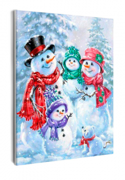 Картина по номерам на холсте и подрамнике 40х50 см