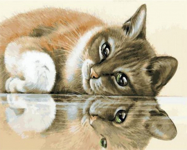 Мечтающий котик - Мечтающий котик