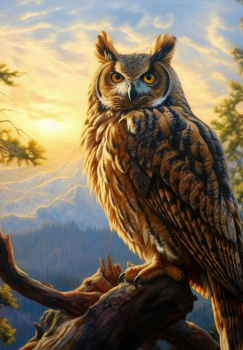 Филин (худ. Яковец Е.)