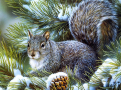 Алмазная мозаика на подрамнике 40х50