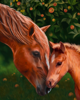 Картины по номерам 40х50: Картина по номерам на холсте и подрамнике 40х50 см