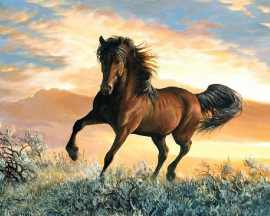 Алмазная мозаика на подрамнике 40х50 - Алмазная мозаика на подрамнике 40х50