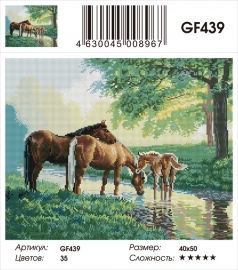 GF439 - GF439