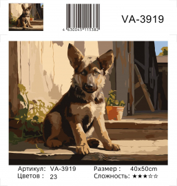 VA-3919 Яковец Е. - VA-3919 Яковец Е.