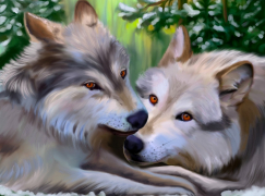 Картина по номерам на холсте и подрамнике 40х50 см