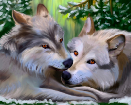 Картина по номерам на холсте и подрамнике 40х50 см - Картина по номерам на холсте и подрамнике 40х50 см