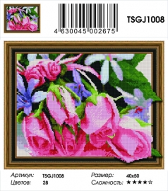 TSGJ1008 - TSGJ1008