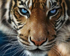 Алмазная мозаика на подрамнике 40х50 - Алмазная мозаика на подрамнике 40х50