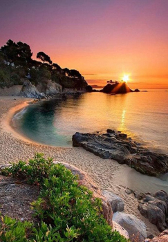 Вышивка крестиком 40х50см