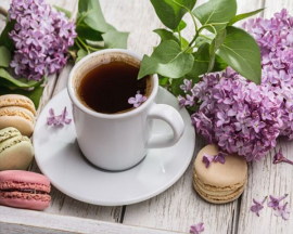 Картина по номерам на холсте и подрамнике 40х50 см - Картина по номерам на холсте и подрамнике 40х50 см