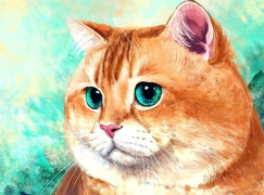 Милый рыжий кот