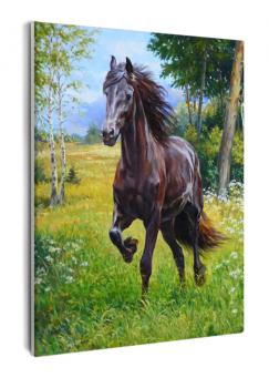 Картина по номерам на холсте и подрамнике 40х50 см