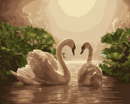 Королевские лебеди - Королевские лебеди
