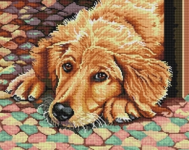 Алмазные мозаики 40x50 - GF520 - Алмазные мозаики 40x50 - GF520