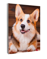 Картины по номерам 40х50: Картина по номерам на холсте и подрамнике 40х50 см