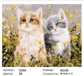 Картины по номерам 40х50 - Два котенка - Картины по номерам 40х50 - Два котенка