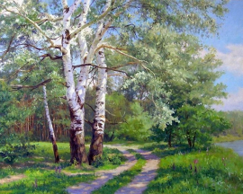 Березы у тропы - Березы у тропы