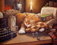 Картины по номерам 40х50: Спящий кот