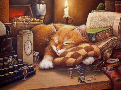Спящий кот