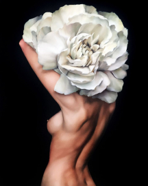 Картина по номерам на холсте и подрамнике 40х50 см - Картина по номерам на холсте и подрамнике 40х50 см