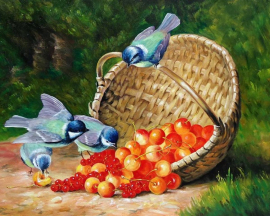 Синицы и ягоды - Синицы и ягоды
