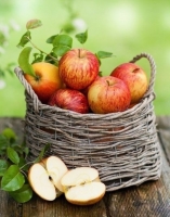 Картины по номерам 40х50: Картина по номерам на холсте и подрамнике 40х50 см