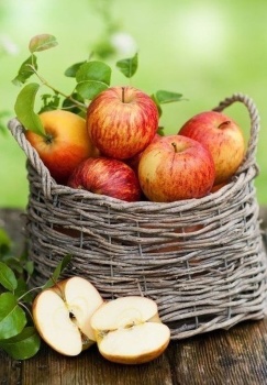 Картина по номерам на холсте и подрамнике 40х50 см