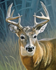 Картина по номерам на холсте и подрамнике 40х50 см - Картина по номерам на холсте и подрамнике 40х50 см