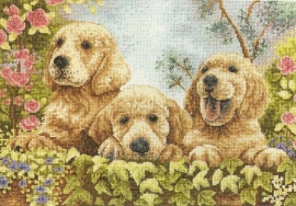 MD-61311 (50х37) Выш. Кр. - MD-61311 (50х37) Выш. Кр.