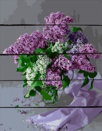 WD-0421 - WD-0421