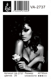 Картина по номерам на холсте и подрамнике 40х50 см - Картина по номерам на холсте и подрамнике 40х50 см